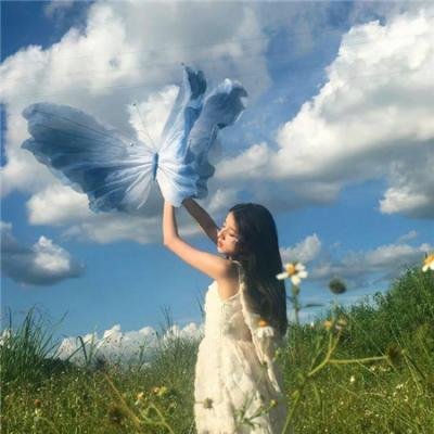 七星幻蝶墓